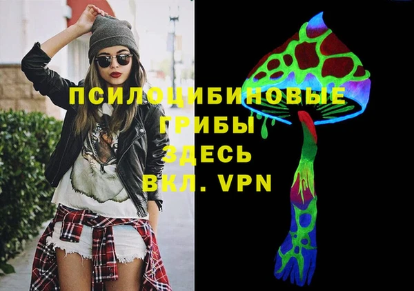 a pvp Ростов