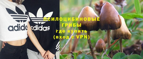 эйфоретик Яровое