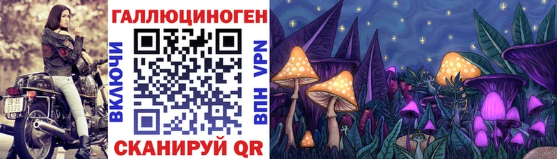 где продают   Алатырь  Галлюциногенные грибы GOLDEN TEACHER 