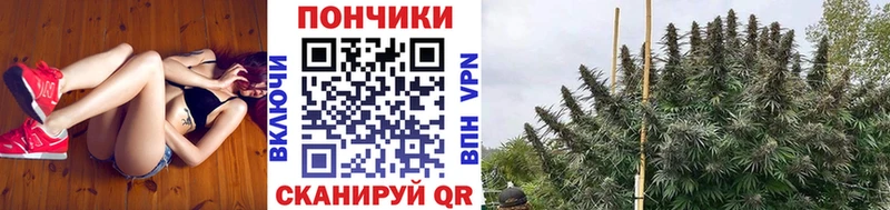 Бошки марихуана AK-47  Алатырь 